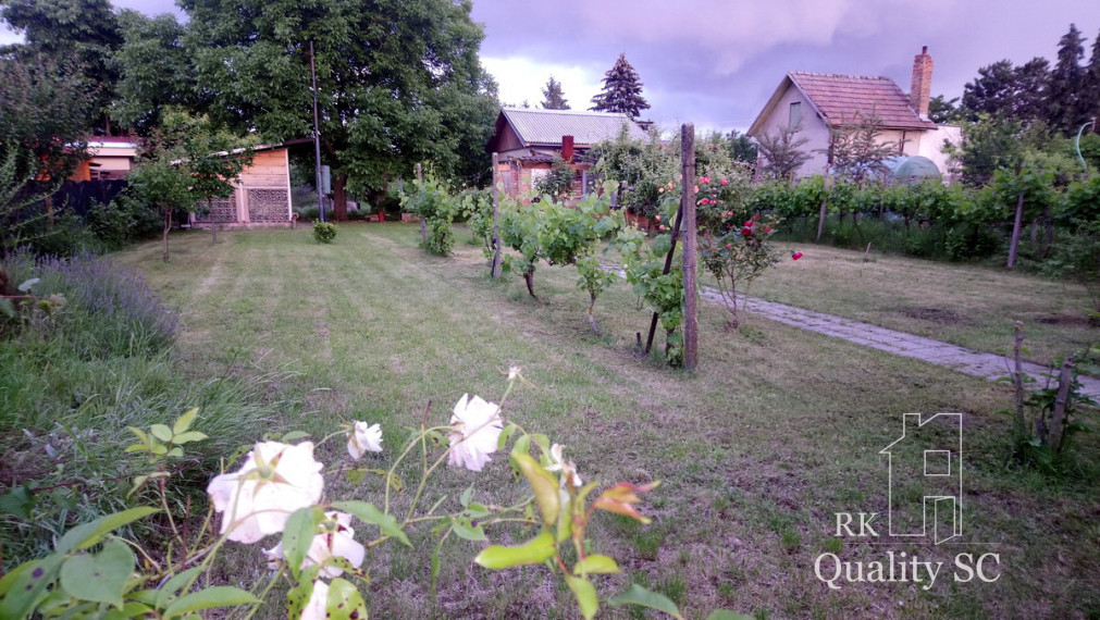 90301 - Miloslavov Alžbetin Dvor - okr. Senec - na predaj krásna veľká záhrada v záhradkárskej oblasti