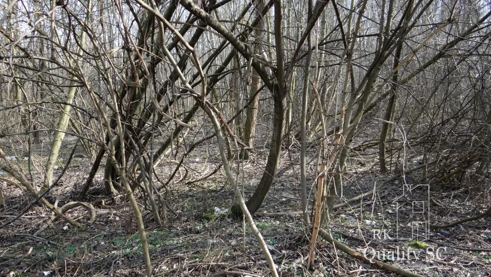 NOVÁ CENÁ !! GABČÍKOVO - NA PREDAJ rekreačný a lesný pozemok v panenskej prírode pri starom koryte Dunaja starý prístav okr. Dunajská Streda