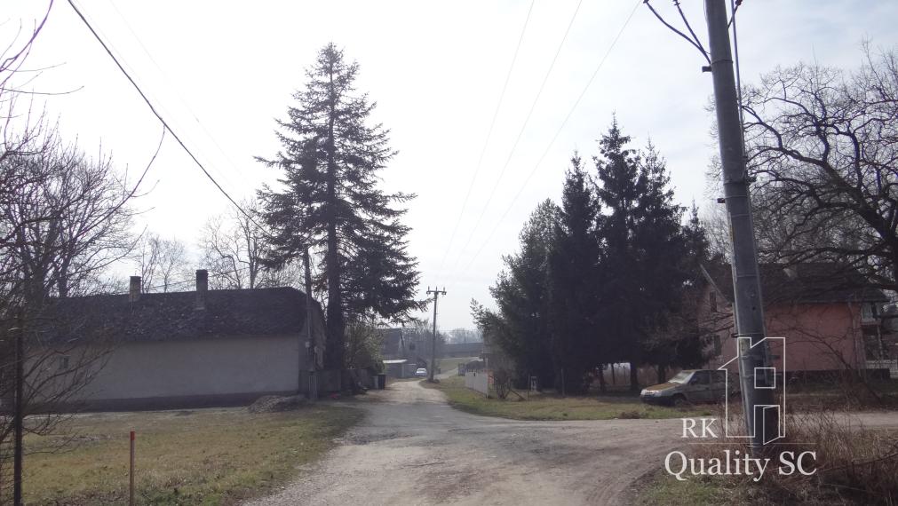 NOVÁ CENÁ !! GABČÍKOVO - NA PREDAJ rekreačný a lesný pozemok v panenskej prírode pri starom koryte Dunaja starý prístav okr. Dunajská Streda