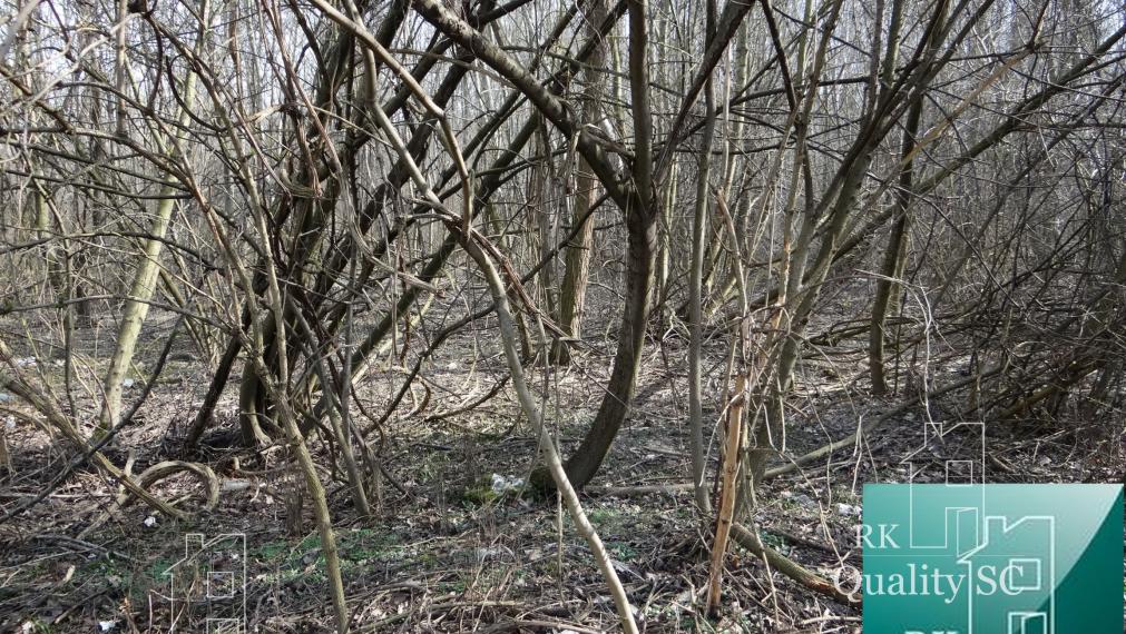 NOVÁ CENÁ !! GABČÍKOVO - NA PREDAJ rekreačný a lesný pozemok v panenskej prírode pri starom koryte Dunaja starý prístav okr. Dunajská Streda