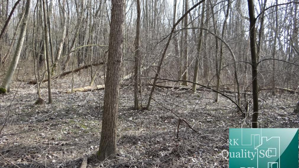 NOVÁ CENÁ !! GABČÍKOVO - NA PREDAJ rekreačný a lesný pozemok v panenskej prírode pri starom koryte Dunaja starý prístav okr. Dunajská Streda