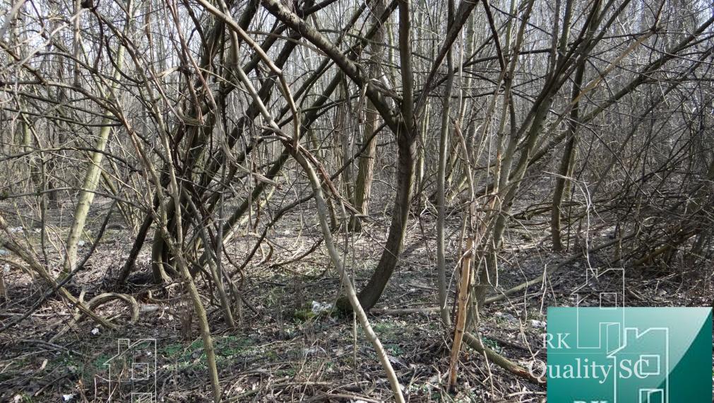 NOVÁ CENÁ !! GABČÍKOVO - NA PREDAJ rekreačný a lesný pozemok v panenskej prírode pri starom koryte Dunaja starý prístav okr. Dunajská Streda