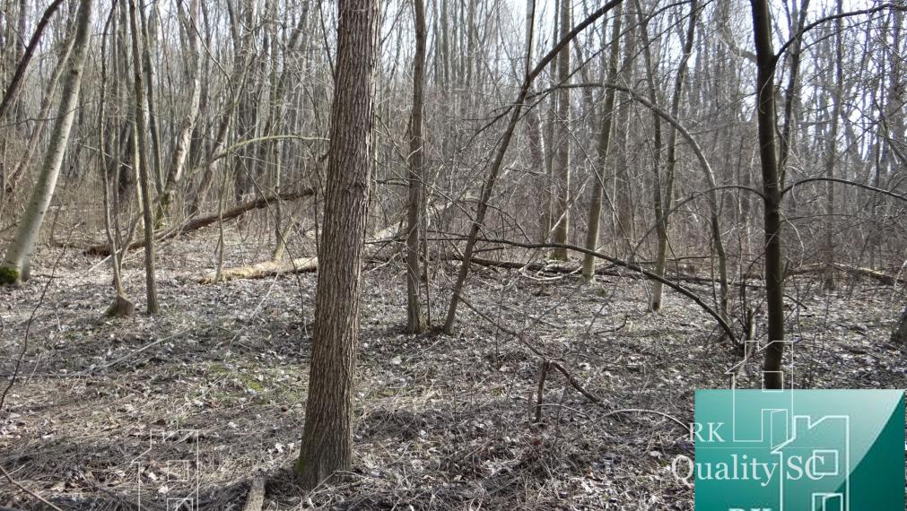 NOVÁ CENÁ !! GABČÍKOVO - NA PREDAJ rekreačný a lesný pozemok v panenskej prírode pri starom koryte Dunaja starý prístav okr. Dunajská Streda