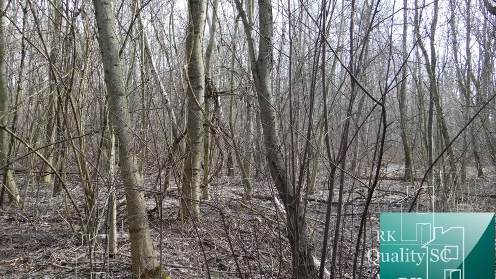 NOVÁ CENÁ !! GABČÍKOVO - NA PREDAJ rekreačný a lesný pozemok v panenskej prírode pri starom koryte Dunaja starý prístav okr. Dunajská Streda