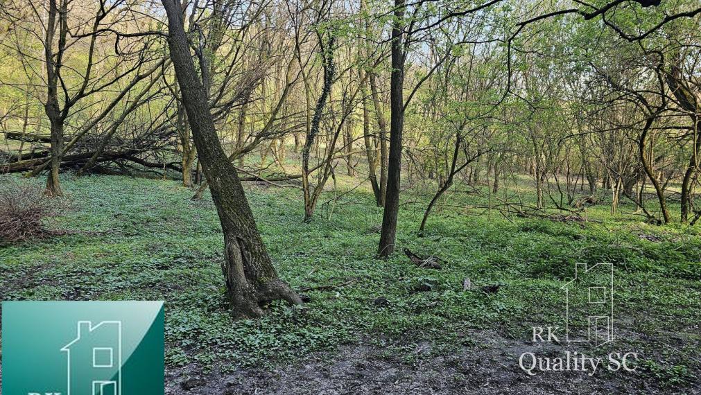 NA PREDAJ - Bratislava IV. - Devín - nie na výstavbu, ale na oddych - výnimočný pozemok v srdci prírody pod Švábskym vrchom o rozlohe 11 467 m2