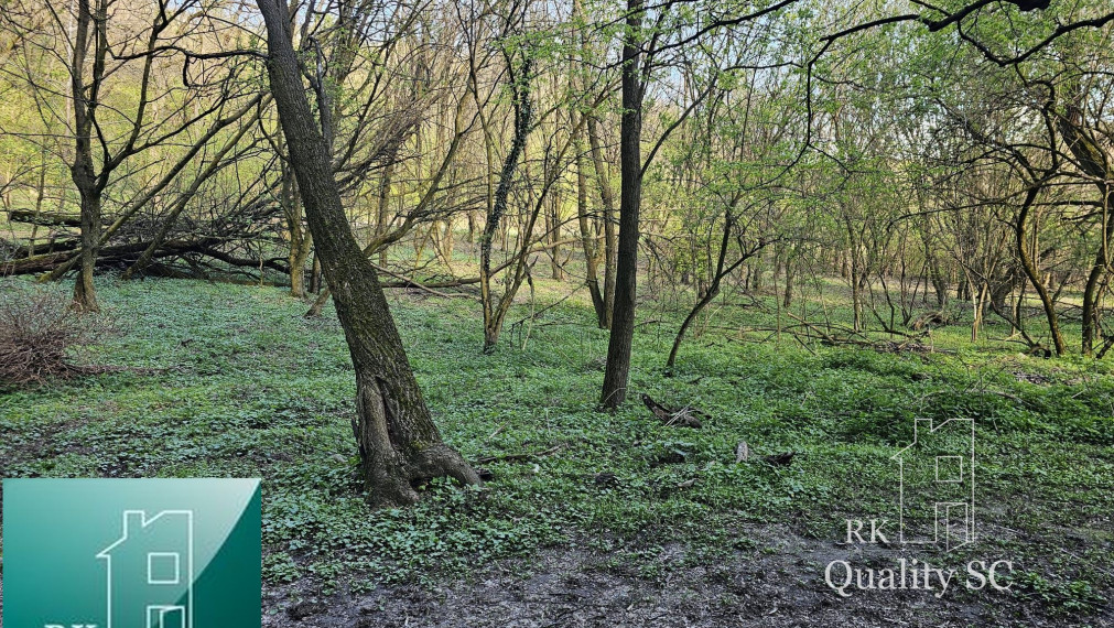 NA PREDAJ - Bratislava IV. - Devín - nie na výstavbu, ale na oddych - výnimočný pozemok v srdci prírody pod Švábskym vrchom o rozlohe 11 467 m2