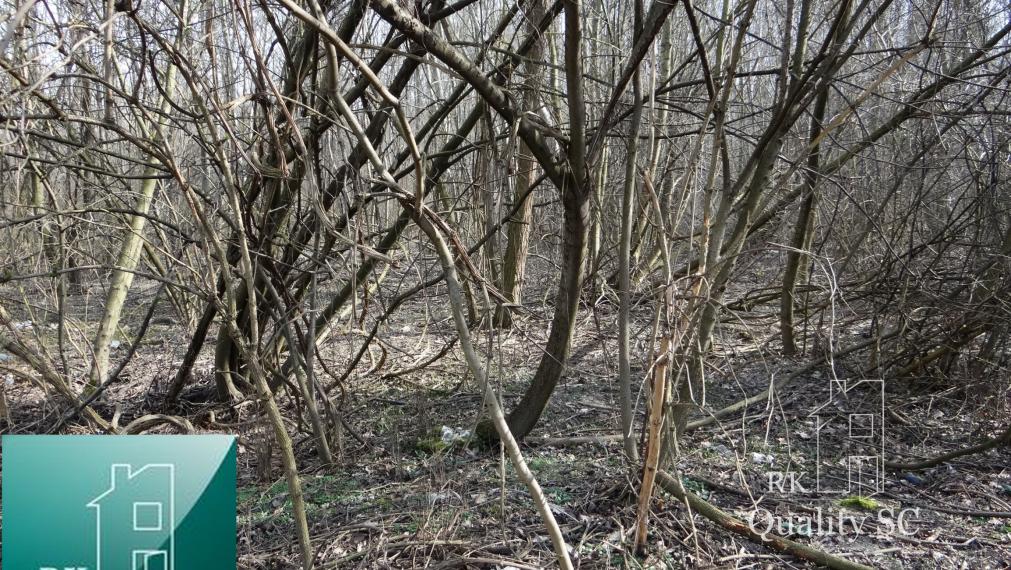 NOVÁ CENÁ !! GABČÍKOVO - NA PREDAJ rekreačný a lesný pozemok v panenskej prírode pri starom koryte Dunaja starý prístav okr. Dunajská Streda