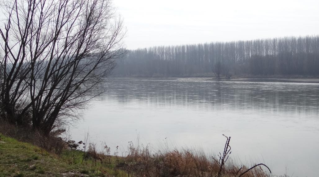 NOVÁ CENÁ !! GABČÍKOVO - NA PREDAJ rekreačný a lesný pozemok v panenskej prírode pri starom koryte Dunaja starý prístav okr. Dunajská Streda