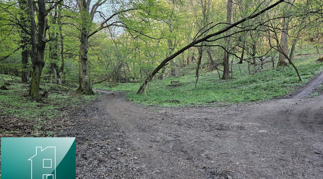 NA PREDAJ - Bratislava IV. - Devín - nie na výstavbu, ale na oddych - výnimočný pozemok v srdci prírody pod Švábskym vrchom o rozlohe 11 467 m2