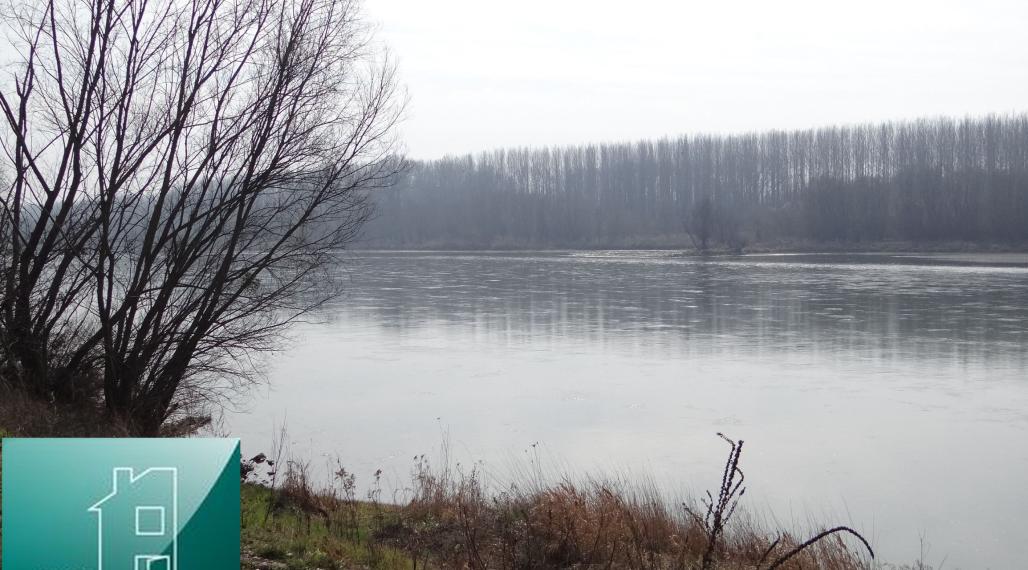 NOVÁ CENÁ !! GABČÍKOVO - NA PREDAJ rekreačný a lesný pozemok v panenskej prírode pri starom koryte Dunaja starý prístav okr. Dunajská Streda
