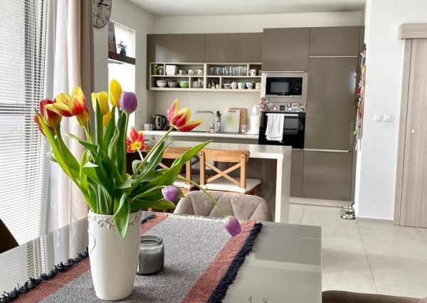 PREDANÉ - 4 izbový dom komplet zariadený, s terasou a parkovaním v IVANKE PRI DUNAJI, Štúrová ulica.