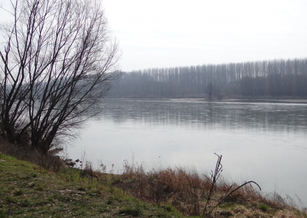 GABČÍKOVO - NA PREDAJ rekreačný a lesný pozemok v panenskej prírode pri starom koryte Dunaja starý prístav okr. Dunajská Streda